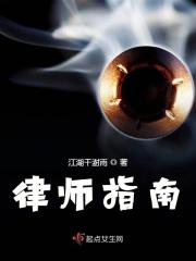 律师指南 律师指南