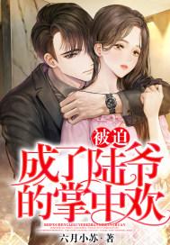 被迫成了陆爷的掌中欢