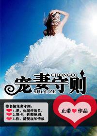 宠妻守则 宠妻守则