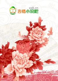 王的契约皇妃 王的契约皇妃