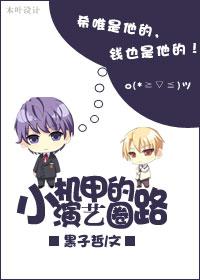小机甲的演艺圈之路 小机甲的演艺圈之路