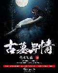 古墓寻情 古墓寻情