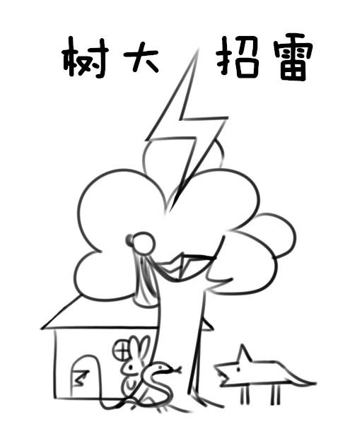 树大招雷 树大招雷