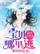 帝少心尖宠:宝贝,哪里逃 帝少心尖宠:宝贝,哪里逃