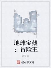 地球宝藏:冒险王 地球宝藏:冒险王