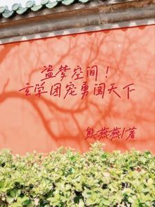 盗梦空间!玄学团宠勇闯天下 盗梦空间!玄学团宠勇闯天下