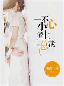 一不小心潜上总裁 一不小心潜上总裁