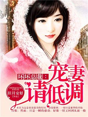 坏坏总裁:宠妻请低调 坏坏总裁:宠妻请低调