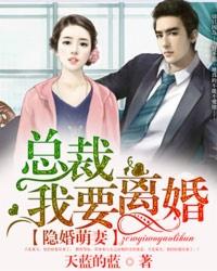 隐婚萌妻：总裁，我要离婚