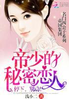 帝少的秘密恋人:停下,别动! 帝少的秘密恋人:停下,别动!