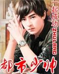 都市少帅 都市少帅