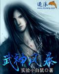 武神风暴 武神风暴