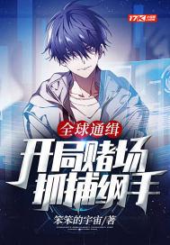 全球通缉:开局赌场,抓捕纲手 全球通缉:开局赌场,抓捕纲手