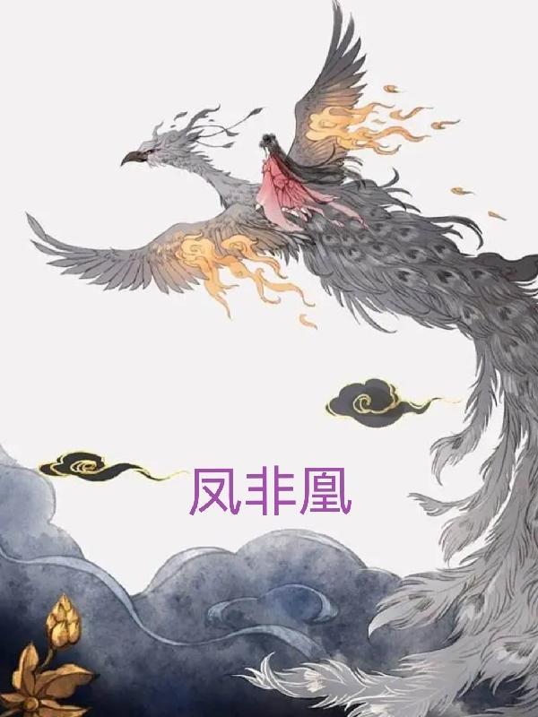 凤非凰 凤非凰