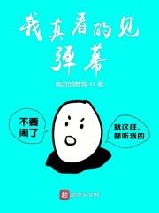 我真看的见弹幕